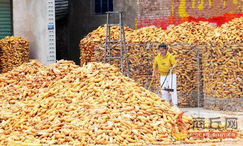 29fa7248-04fb-4f64-b921-0400c18b5f16